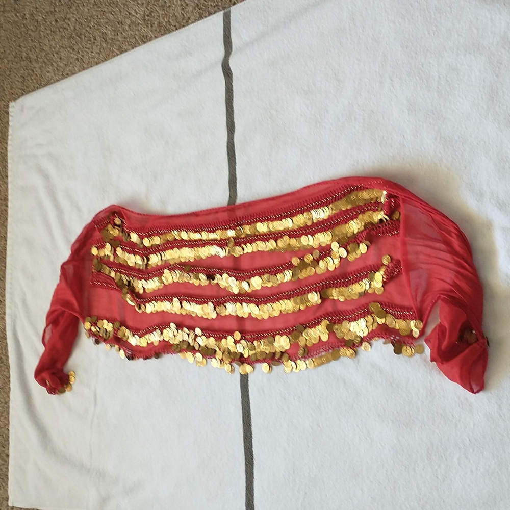 Belly Dance Coin and Bead Embellished Hip Scarf
